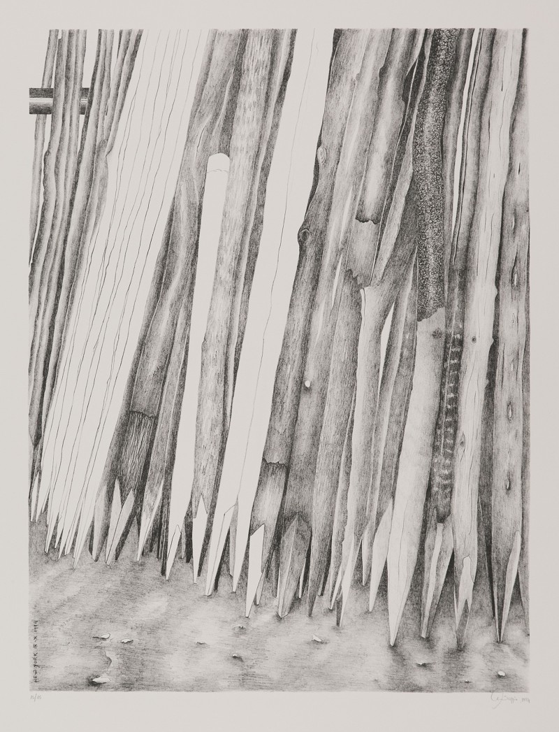 Fences, a Lithograph by Marisa Saggio